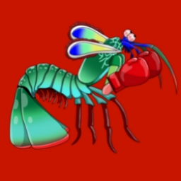 Peacock-Mantis-Shrimp Logo