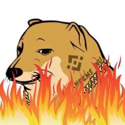 BURNCHEEMS Logo