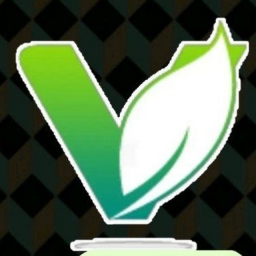 VIDA Logo