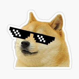 DogeToken