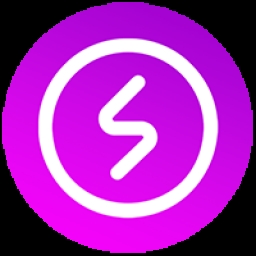 Salare-Pay Logo