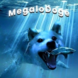 Megalodoge Logo