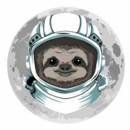 MOON SLOTH