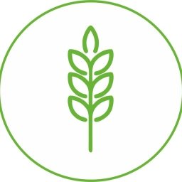 SMART-GRAIN-COIN Logo