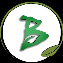 Built-Coin Logo