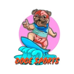 DOGE-SPORTS Logo