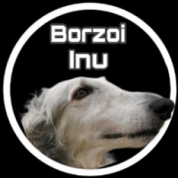 BorzoiInu