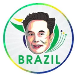 Elon Brazil