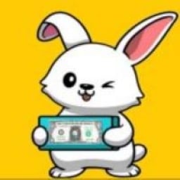 RabbitMoney