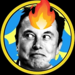 Elon Musk Burning Coin