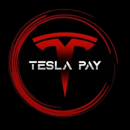 TESLA PAYMENT