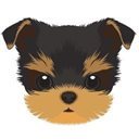 Yorkie Inu