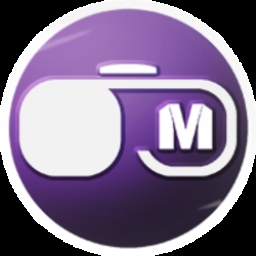 Virtual-Meta Logo