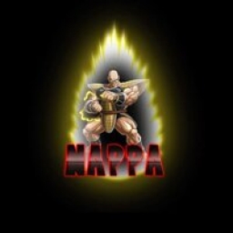 Nappa Logo