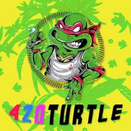 420TURTLE Logo