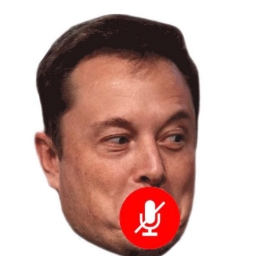 STFU-Elon Logo