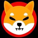 MY-SHIBA-INU Logo