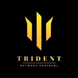 TRIDENT NETWORK