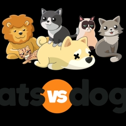 CatsVsDoge Logo