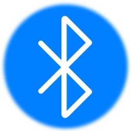 BLOO-Network Logo