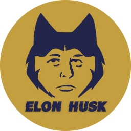 ElonHusk