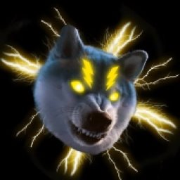 Lightning Shiba