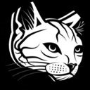 Catty-Coin Logo