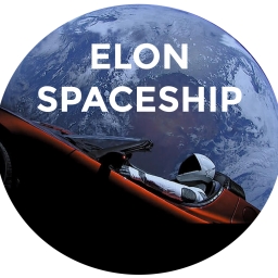 ElonSpaceShip