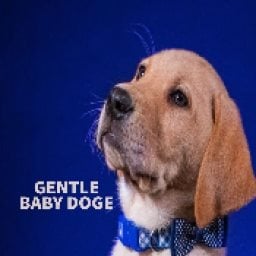 GENTLE-BABY-DOGE Logo