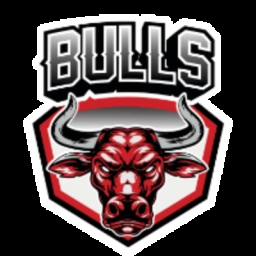 Bulls Coin