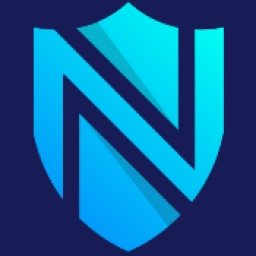 Netshield-Token Logo