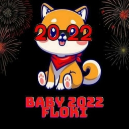 BABY-FLOKI-2022 Logo