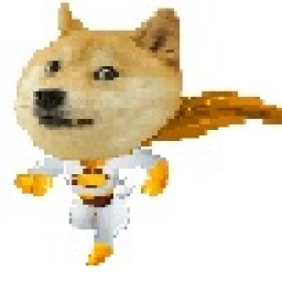 Doge1 Mission