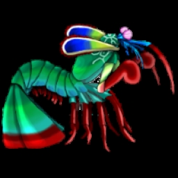 One Punch Mantis Shrimp