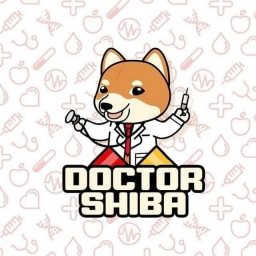 Dr Shiba