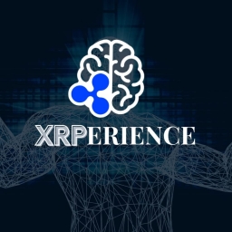 XRPerience