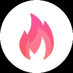 Flame Logo