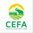 Crystal-Elephant-Farm Logo