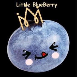 Little Blueberry