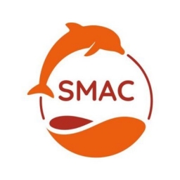 Smartchem Logo